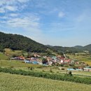 메밀밭들녘