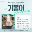 봉봉스테이션 사직점 | 축복해 줄 수 있는 여유