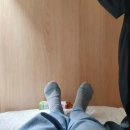 울릉씨투어 이미지