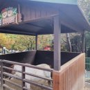주주팜 네이버블로그
