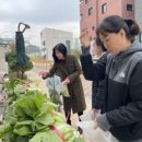 라온 유치원 이미지