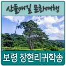 화암리우수고개세천 | 보령 장현리 귀학송