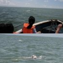 돌고래PC 이미지