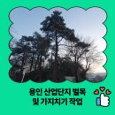 아산제2테크노밸리 산업단지 주변도로 | 용인 산업단지 벌목 및 가지치기 작업