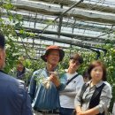 길곡초등학교 이미지