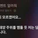 섭씨온도 이미지