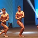 닥터짐