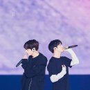 윙스투어 이미지