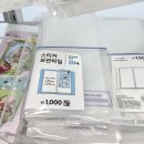 5月 일상 ∘ 봄 산책, 샌드위치, 다이소에서 구매한 물건들, KATSEYE 덕질 ☘️