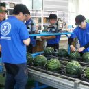 부안유통 이미지