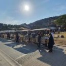 남문로데오시장 이미지