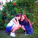 마에다 아츠코 카카오 검색결과