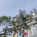행운동-6 이미지