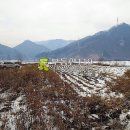 금대리농장 이미지