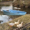 철마목장 | 제주 조천 목장체험 길갈팜랜드 다녀온 후기