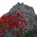 광양다압중학교 이미지