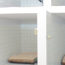 댕교오겠습니다 이미지