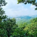 장유유도관 이미지