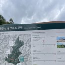 은빛초등 | 정선 2025 은빛억새축제 민둥산 등반 후기