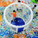 국가대표 태권도 키즈 이미지