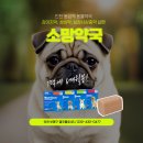 동암동물약국 이미지