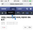 [ios7] ios7에 한국어, 한영(영한) 사전 추가된 건 알고 여시 하는거얌? 이미지