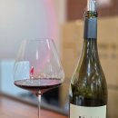 대륙허브 | 5개국 8종 피노누아 비교 시음 후기