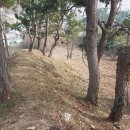 진도 금갑진성 이미지