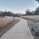 발안천 산책로 이미지