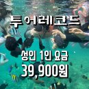휴가 | 필리핀 보홀 여름휴가 후기~.~