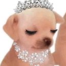 샤인 PC방 | 솔로파티 - 관람석 후기(인데 참여자를 곁들인)