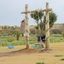 장인목장 이미지