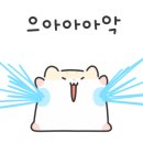 슈즈카페 이미지