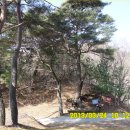 춘양중학교 이미지