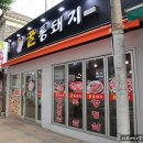 꿀통돼지 이미지