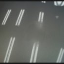 프로카VIP 이미지