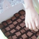 은하초코기사단
