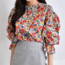 벌룬플라워 이미지