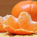 필라테스 귤 이미지