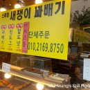 새쟁이꽈배기 - 성남시 분당구 동판교로 61 | 새쟁이꽈배기