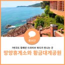 망양주유소 이미지