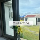 평대하루 | 제주 동쪽 독채숙소 평대대수굴바당조끄디 구좌 감성숙소 후기