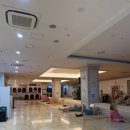 하피랜드 이미지