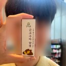 과천 (땀이)흠뻑쇼, 대프리카 여행(사유원, 왕거미집)