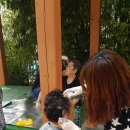 사랑의 할머니경로당 이미지