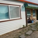 팽나무 펜션 이미지