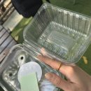 황지로 | 서울근교 딸기체험 아이랑 가볼만한 곳 모아베리교육농장 딸기농장 후기