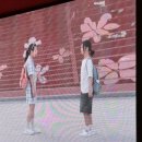 세이브유어캣