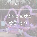 프로방스 | 청도 가볼만한 곳 청도프로방스 방문 후기