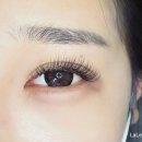 라라속눈썹 - 중구 | 라라속눈썹